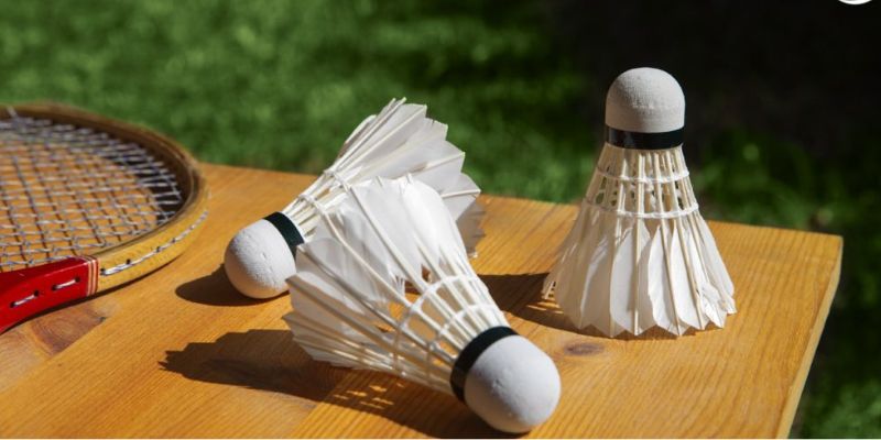 Cá cược cầu lông tại Ok365