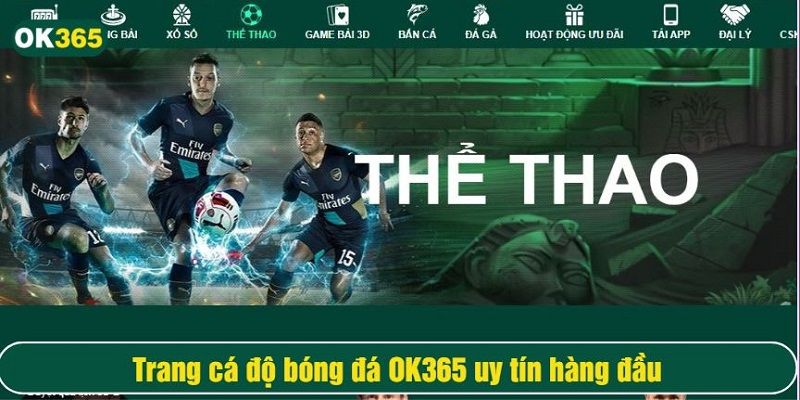 Trang chủ 34 cá độ thể thao OK365