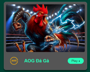 Đá gà AOG tại OK365